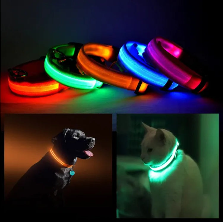 Halo-Style LED Safety Collar