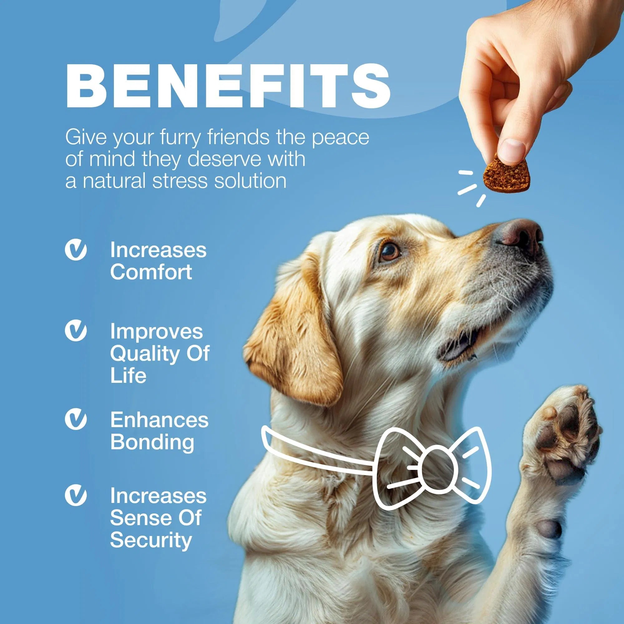 Hemp Calming Chews for Canine Anxiety Relief