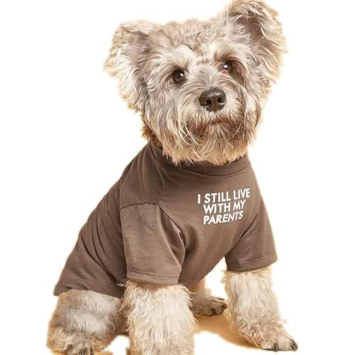 Pet Round Neck T-Shirt in Red, Blue, Black, Khaki