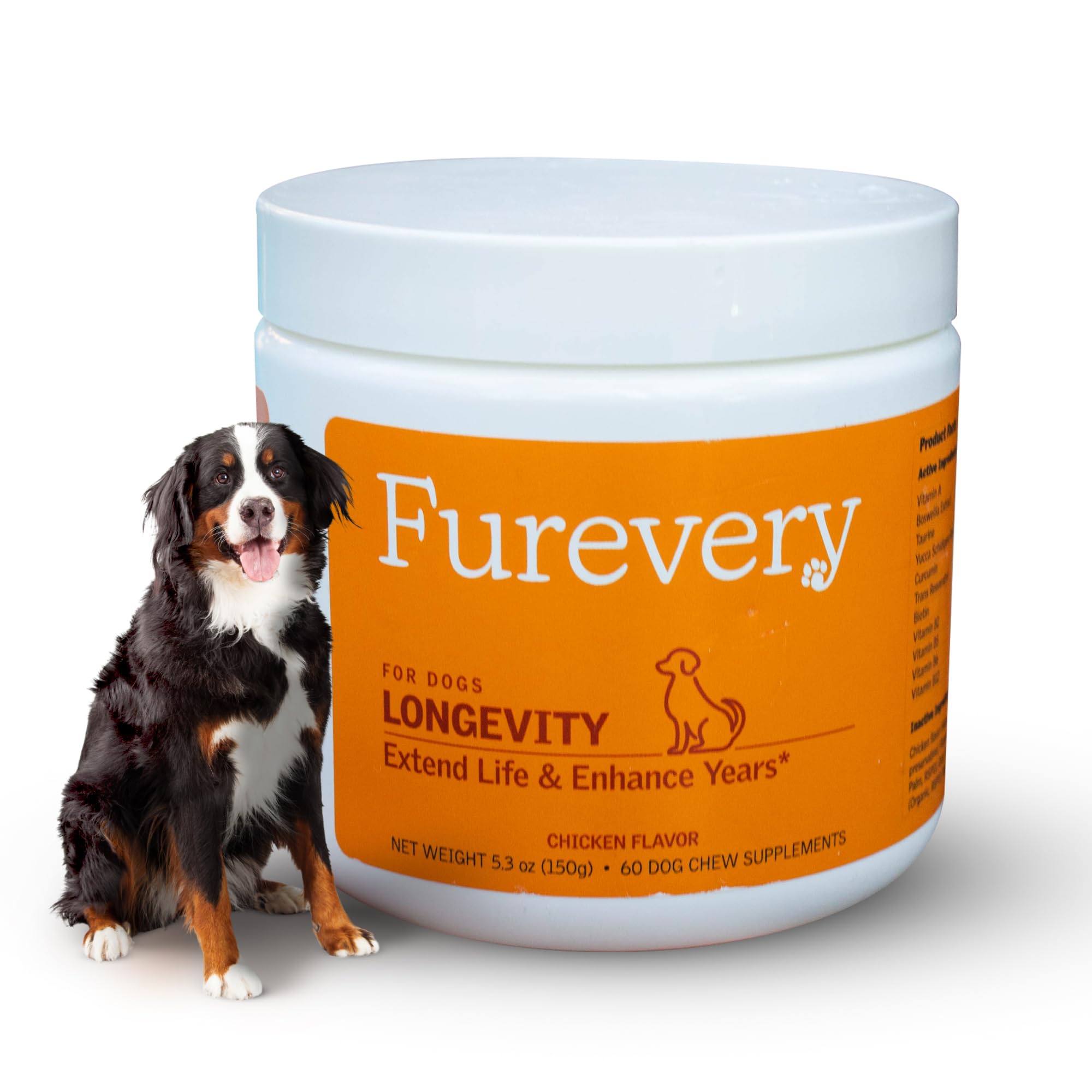 Longevity Multivitamin for Dogs - Chewable Tablets
