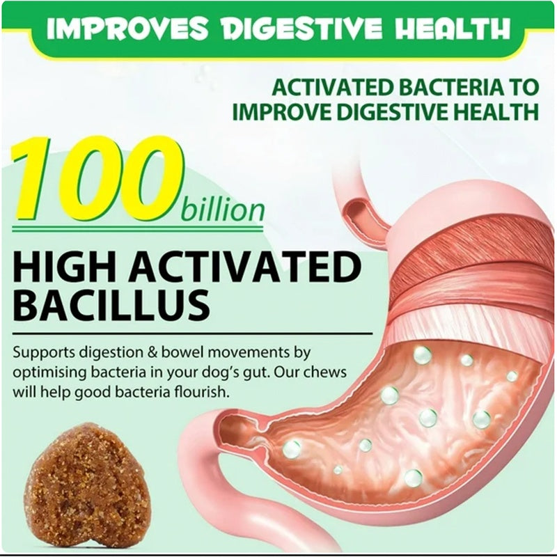 Probiotic Chews for Canine Digestive Health