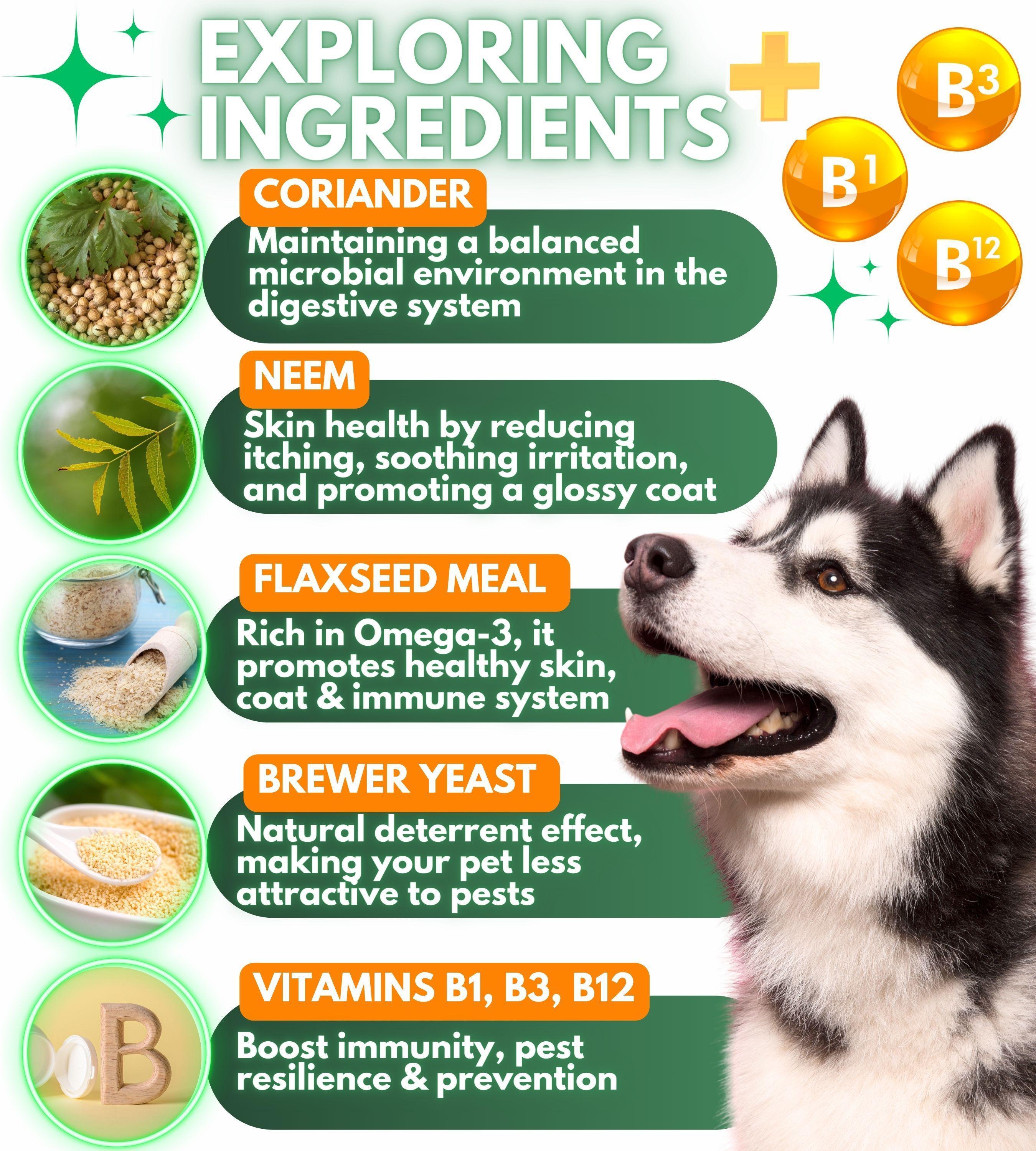 Natural Flea & Tick Prevention Chewables for Dogs, 120 Count