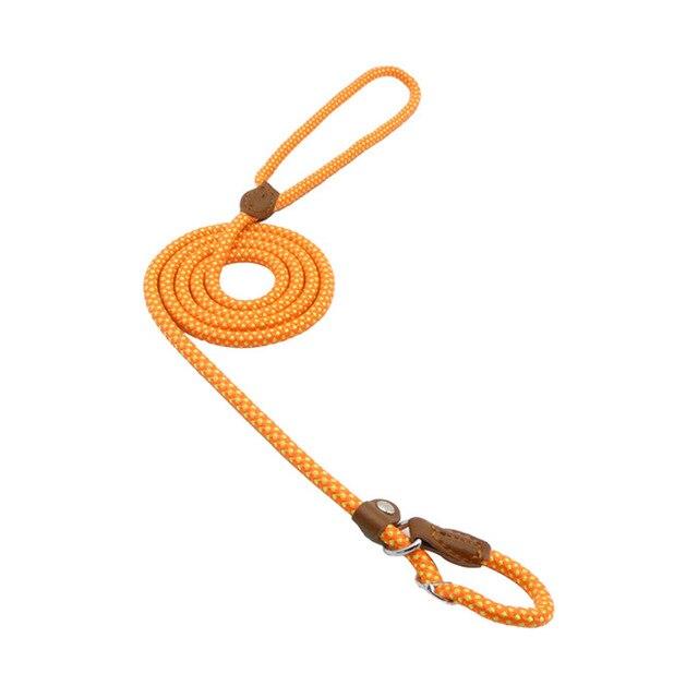 Nylon Duo Collar and Lead Set