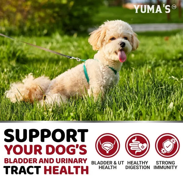Dog Cranberry Bladder Support Chews, 170 Count