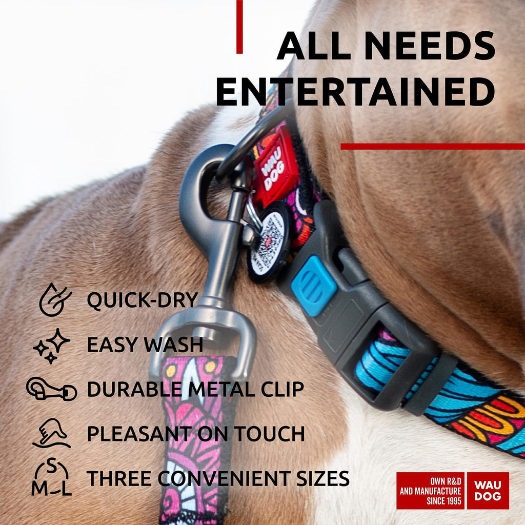 Durable Nylon Leash, 4 Ft x 1 Inch, Summer Colors