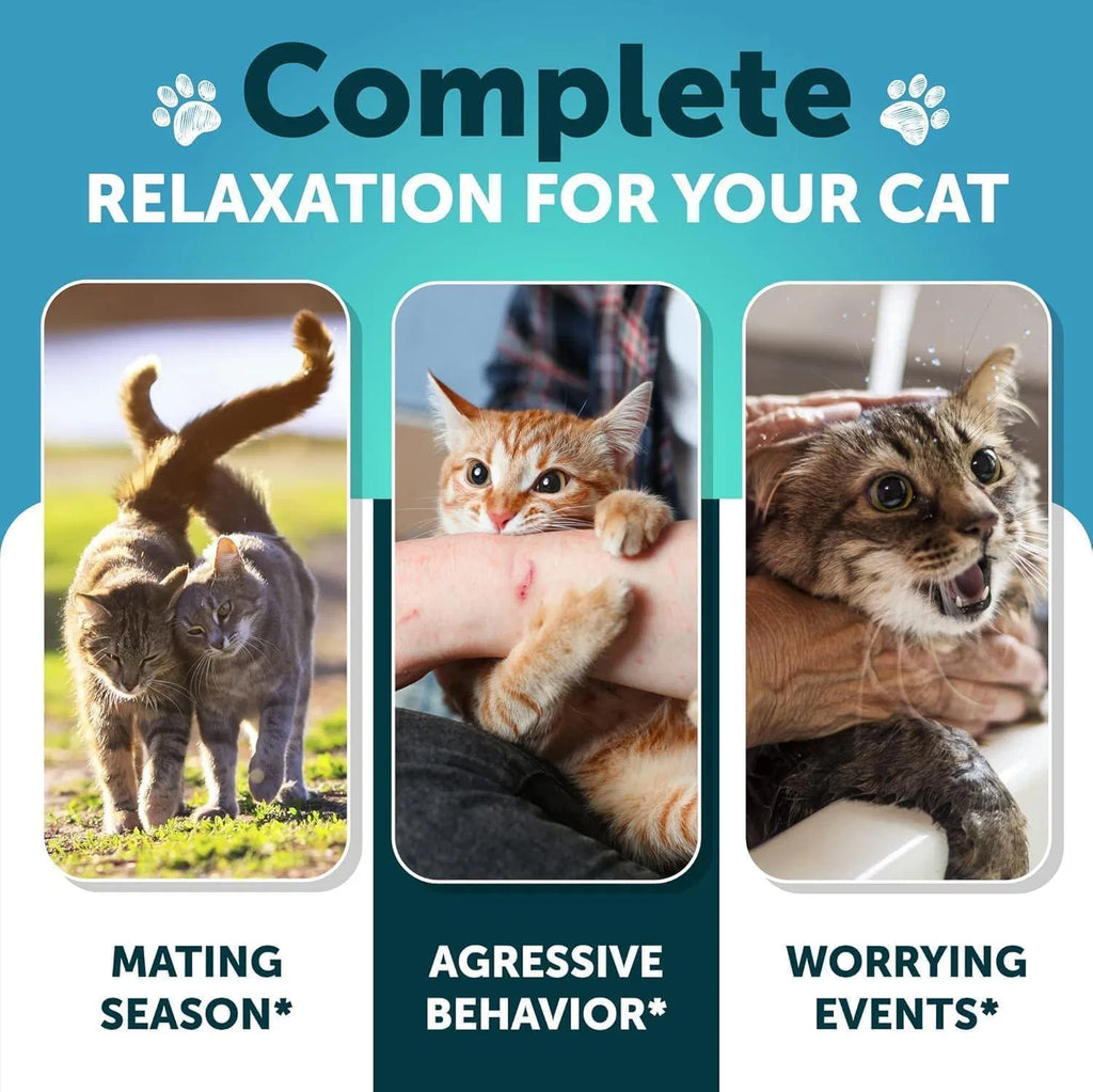 Hemp Calming Treats for Cats