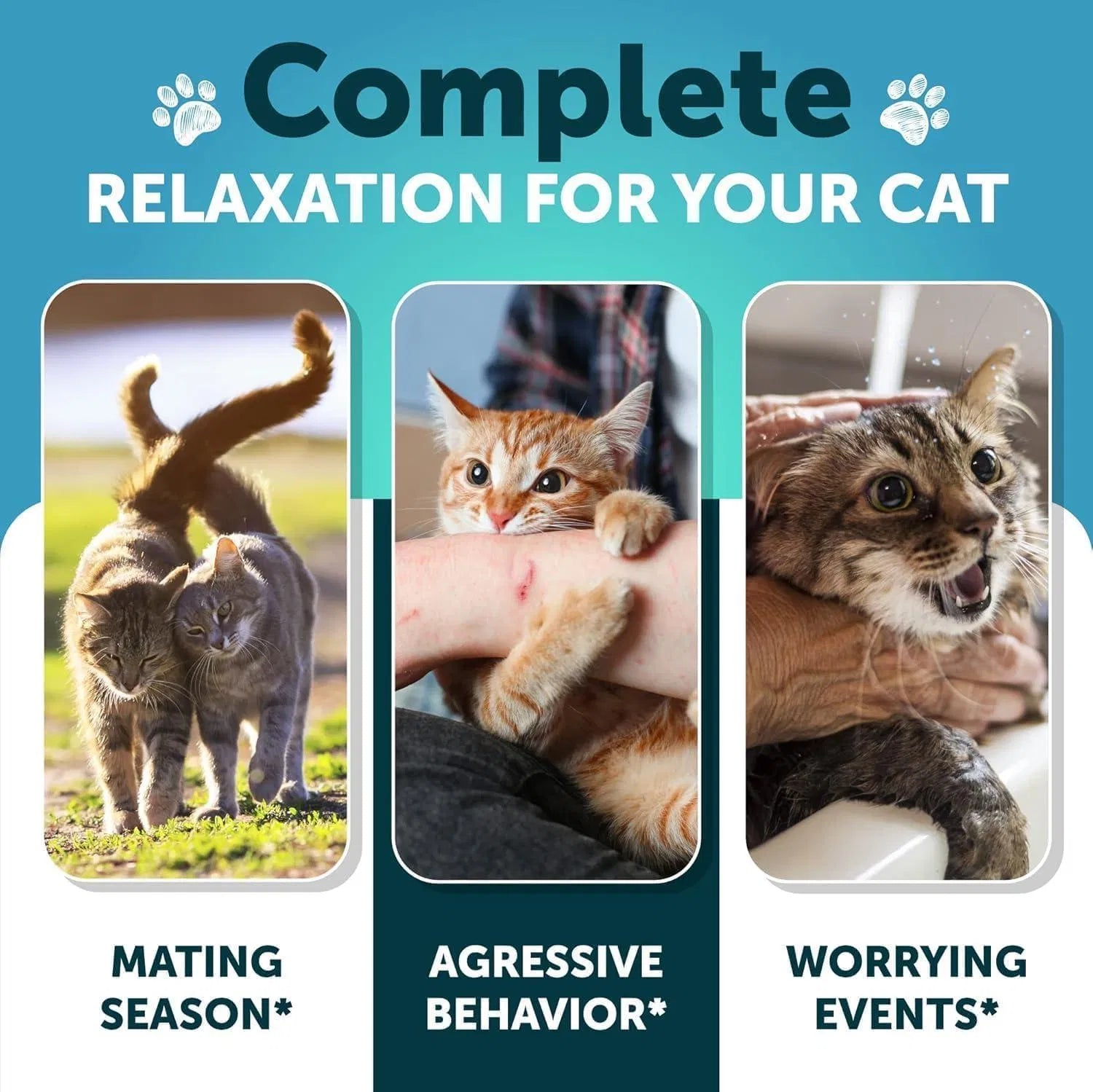 Hemp Calming Treats for Cats