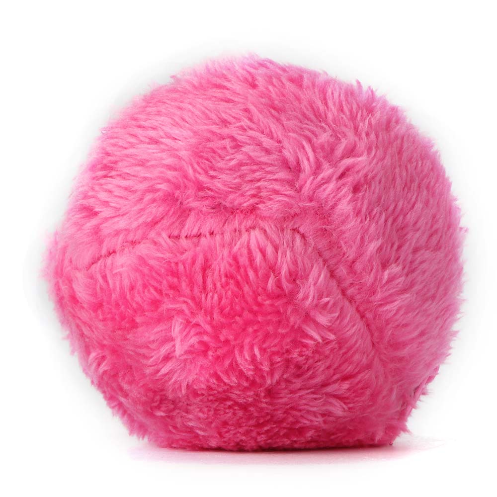 Enchanted Motorized Pet Play Sphere