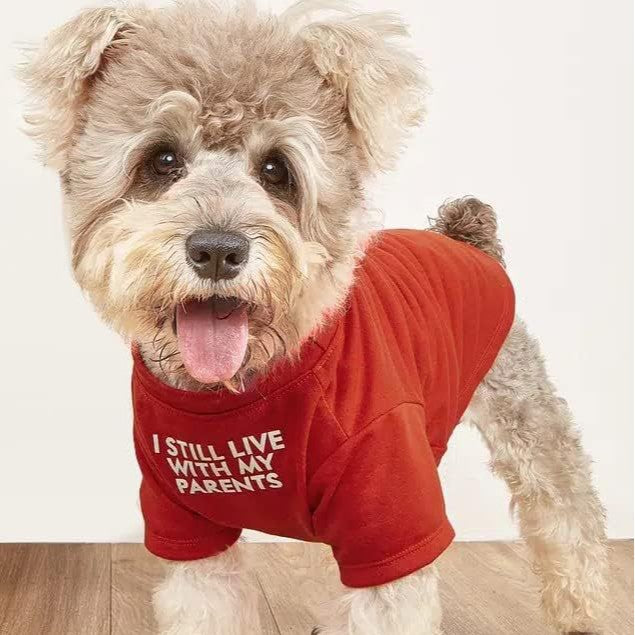 Pet Round Neck T-Shirt in Red, Blue, Black, Khaki