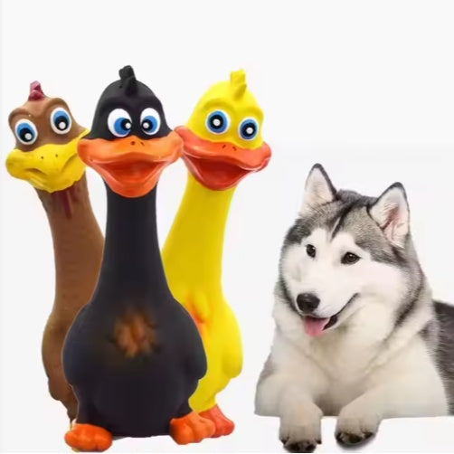 Latex Interactive Duck Squeaky Chew Toy, 18cm