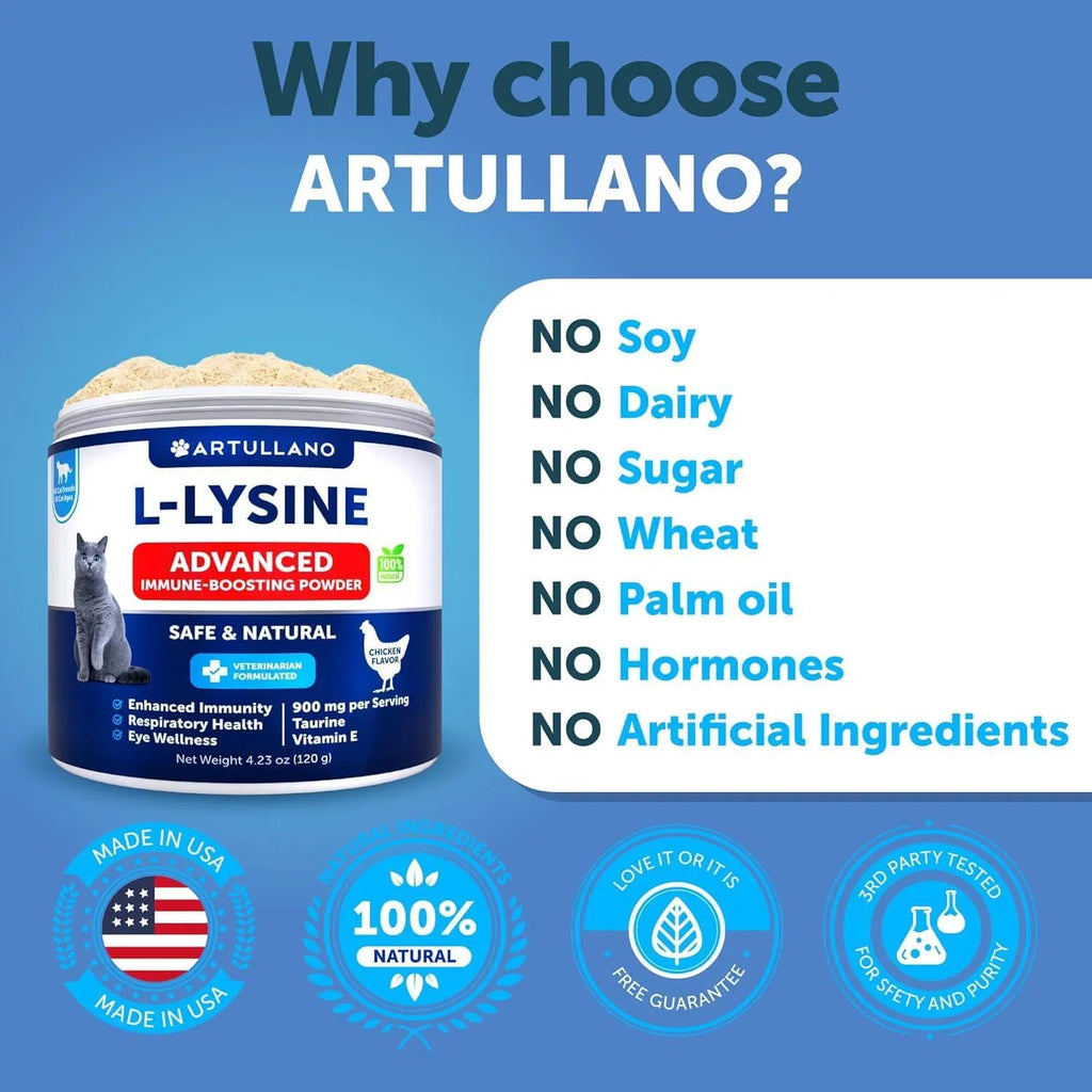 Feline L-Lysine Powder Supplement for Immune Support