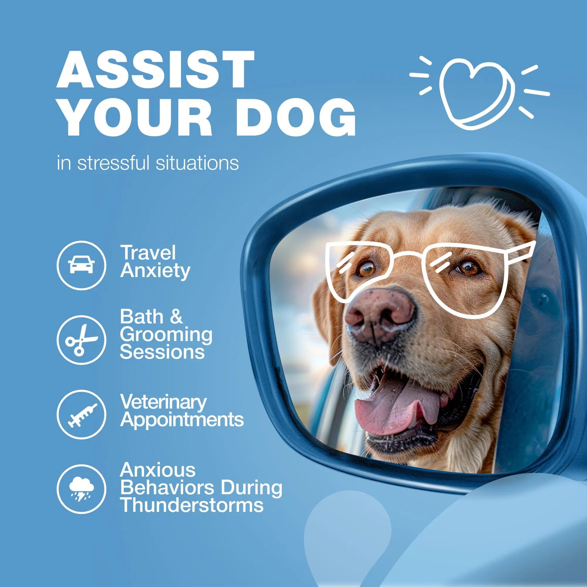Hemp Calming Chews for Canine Anxiety Relief