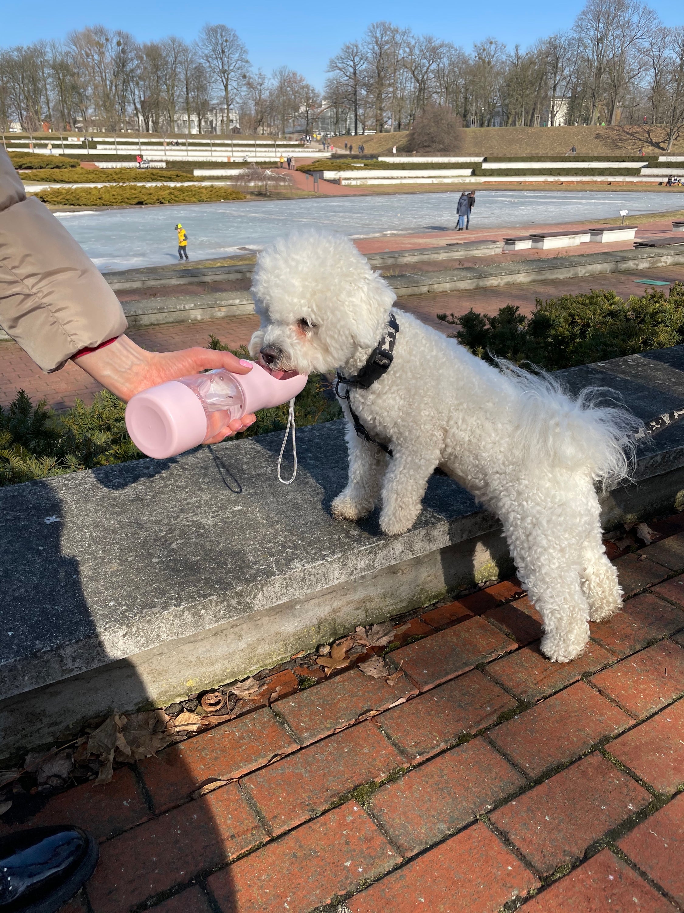 Dual-Compartment Pet Travel Bottle, 258ml Water & 200ml Food