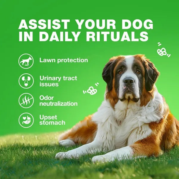 Duck Flavored Grass Burn Spot Dog Chews