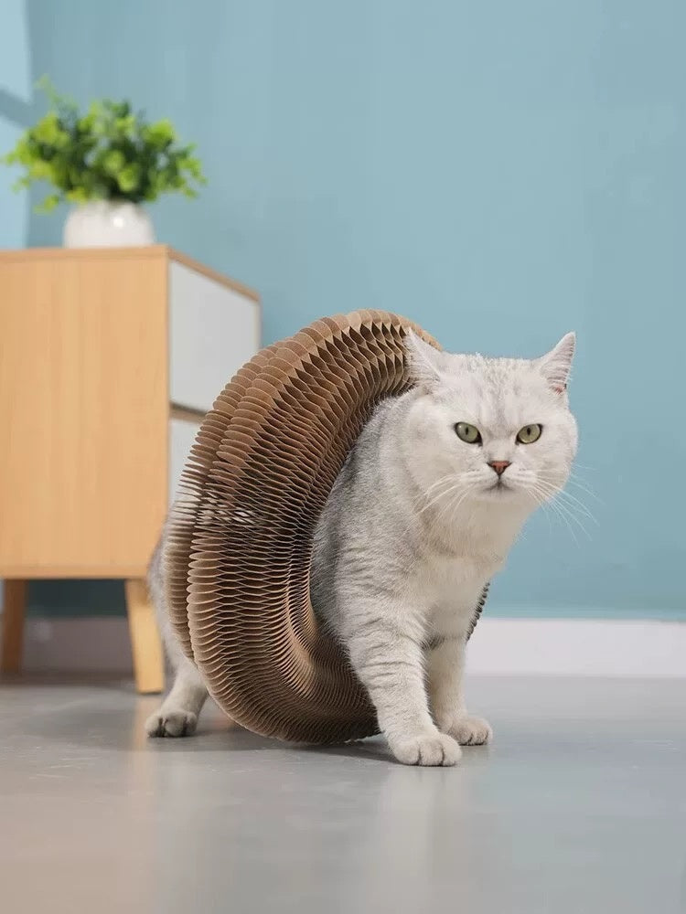 Elegant Folding Cat Scratcher