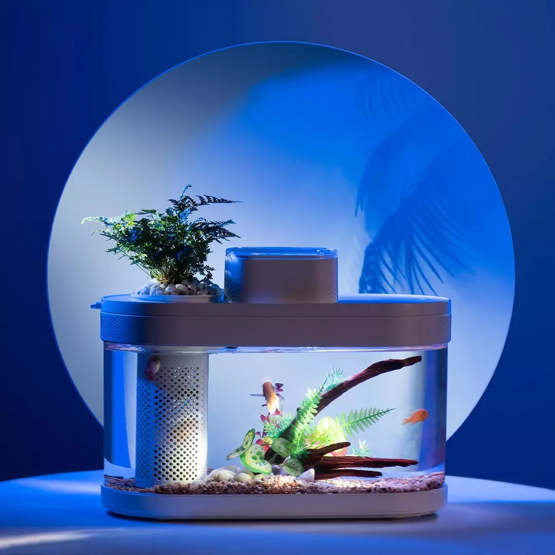 Geometric Amphibious Ecological Smart Fish Tank Pro, Frost W