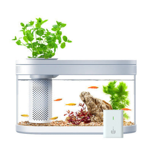 Geometric Amphibious Ecological Smart Fish Tank Pro, Frost W