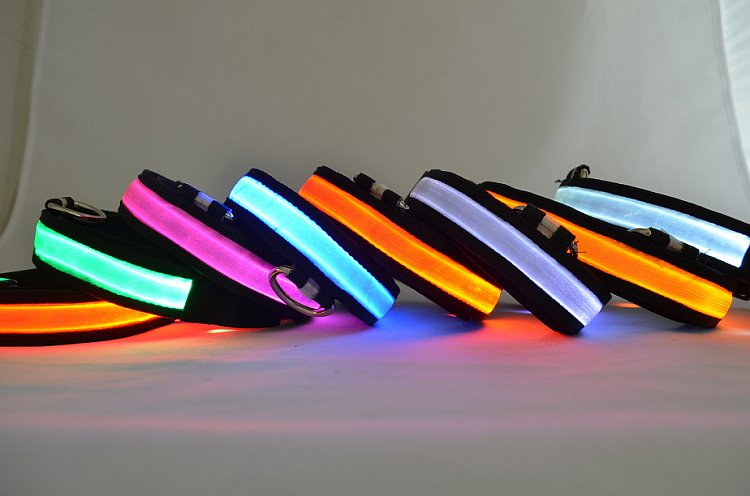 Illuminated Safety Collar