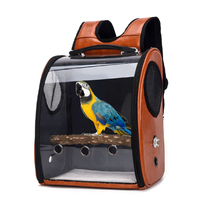 Foldable Porous Pet Carrier