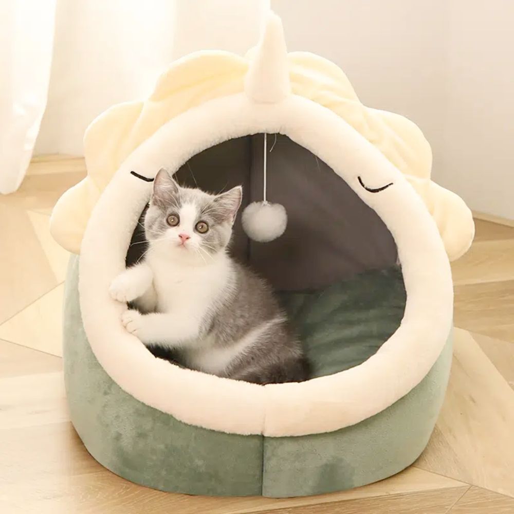 Dinosaur Pet Hideaway with Toy