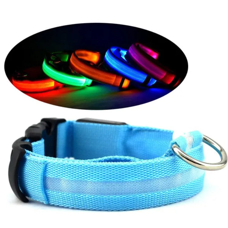 Halo-Style LED Safety Collar
