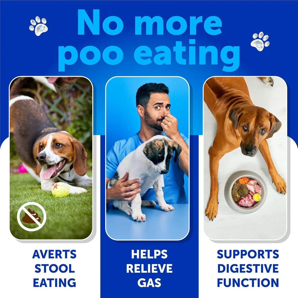 Advanced Coprophagia Deterrent Chews for Puppies & Dogs