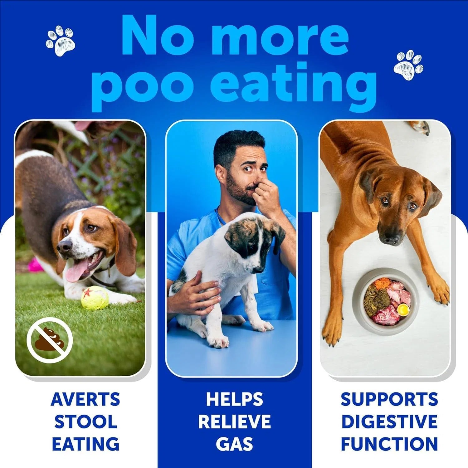 Advanced Coprophagia Deterrent Chews for Puppies & Dogs