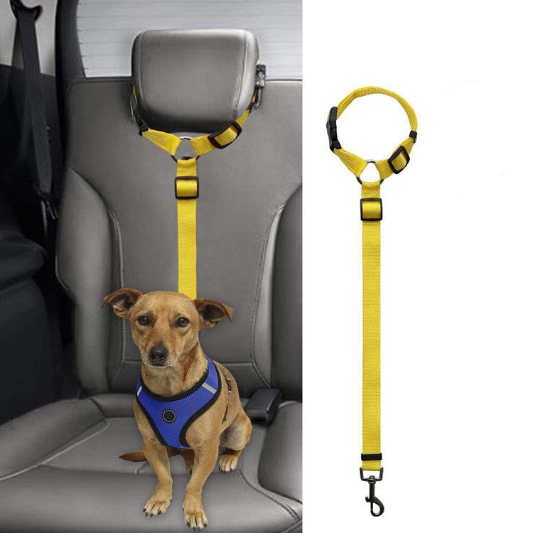 Adjustable Car Backseat Safety Leash