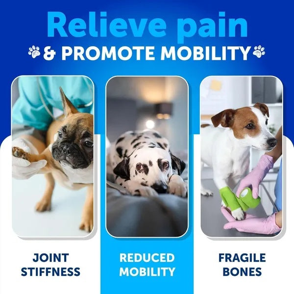 Hemp Hip and Joint Dog Supplement