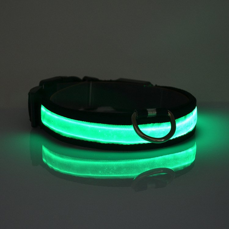 Illuminated Safety Collar