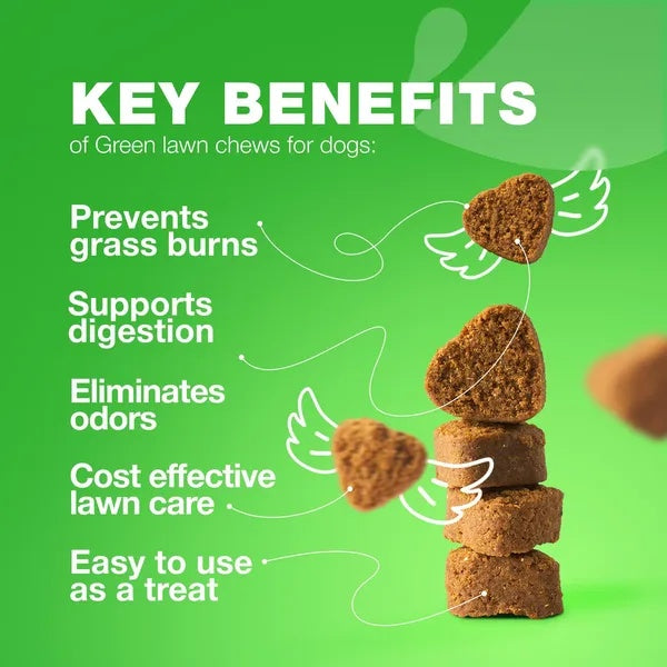 Duck Flavored Grass Burn Spot Dog Chews