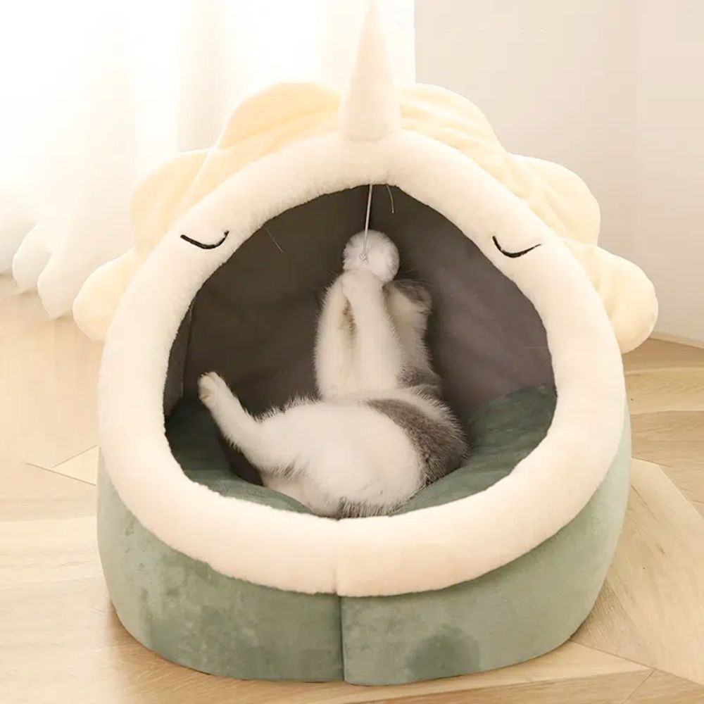 Dinosaur Pet Hideaway with Toy