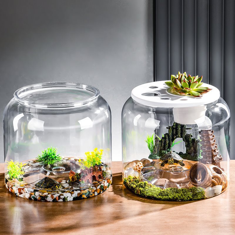 Desktop Landscaping Fish Tank, Large