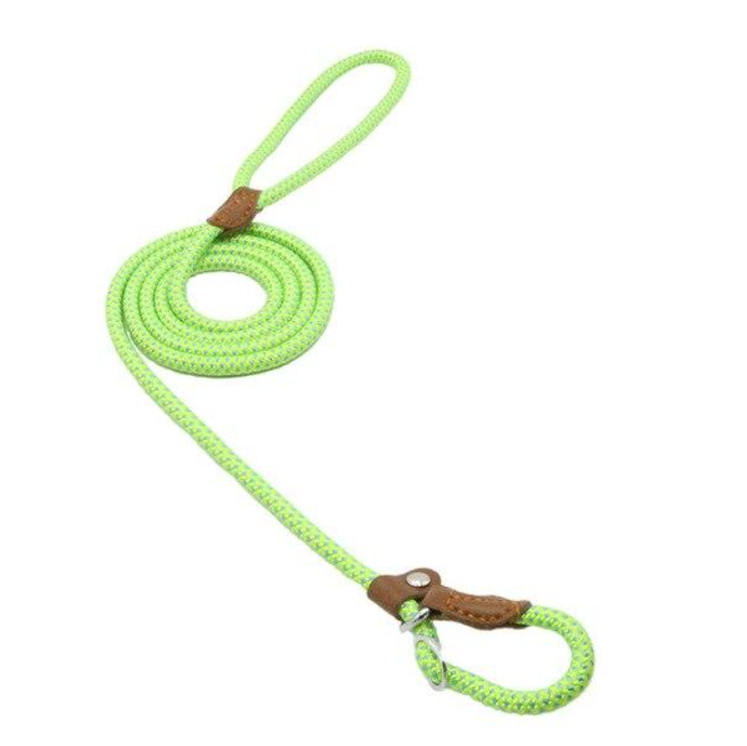 Nylon Duo Collar and Lead Set