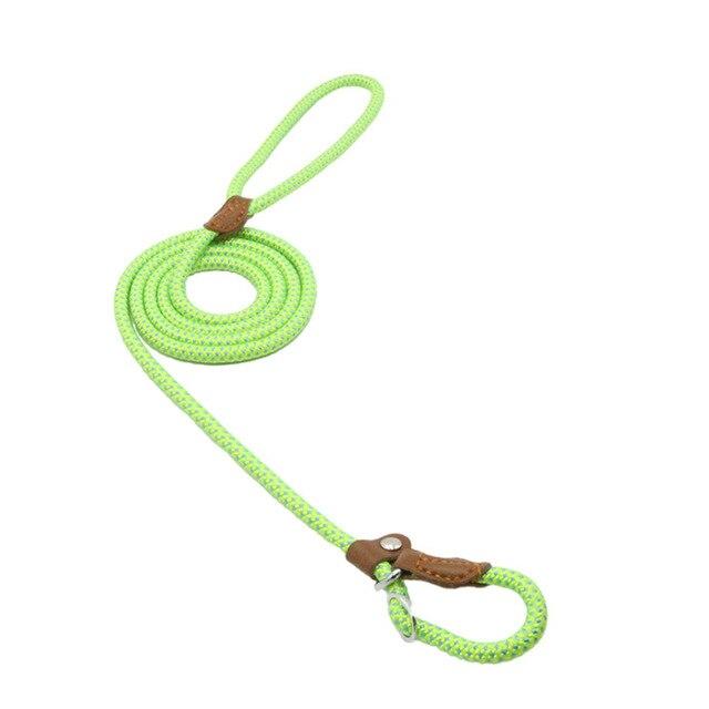 Nylon Duo Collar and Lead Set