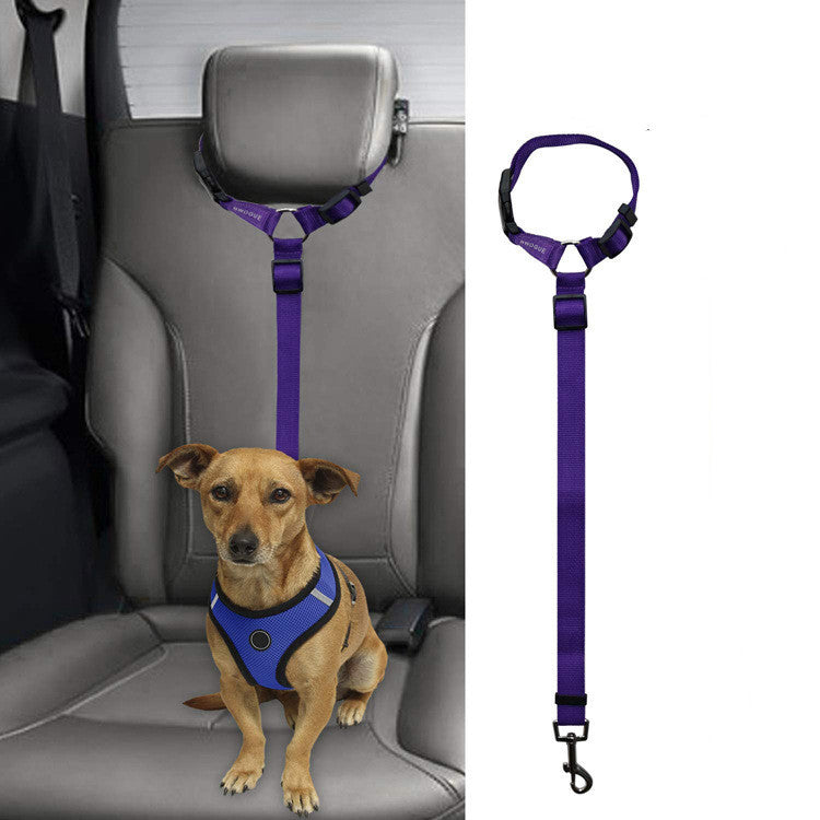 Adjustable Car Backseat Safety Leash