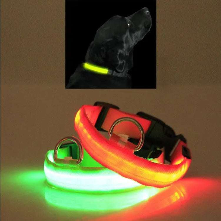 Halo-Style LED Safety Collar