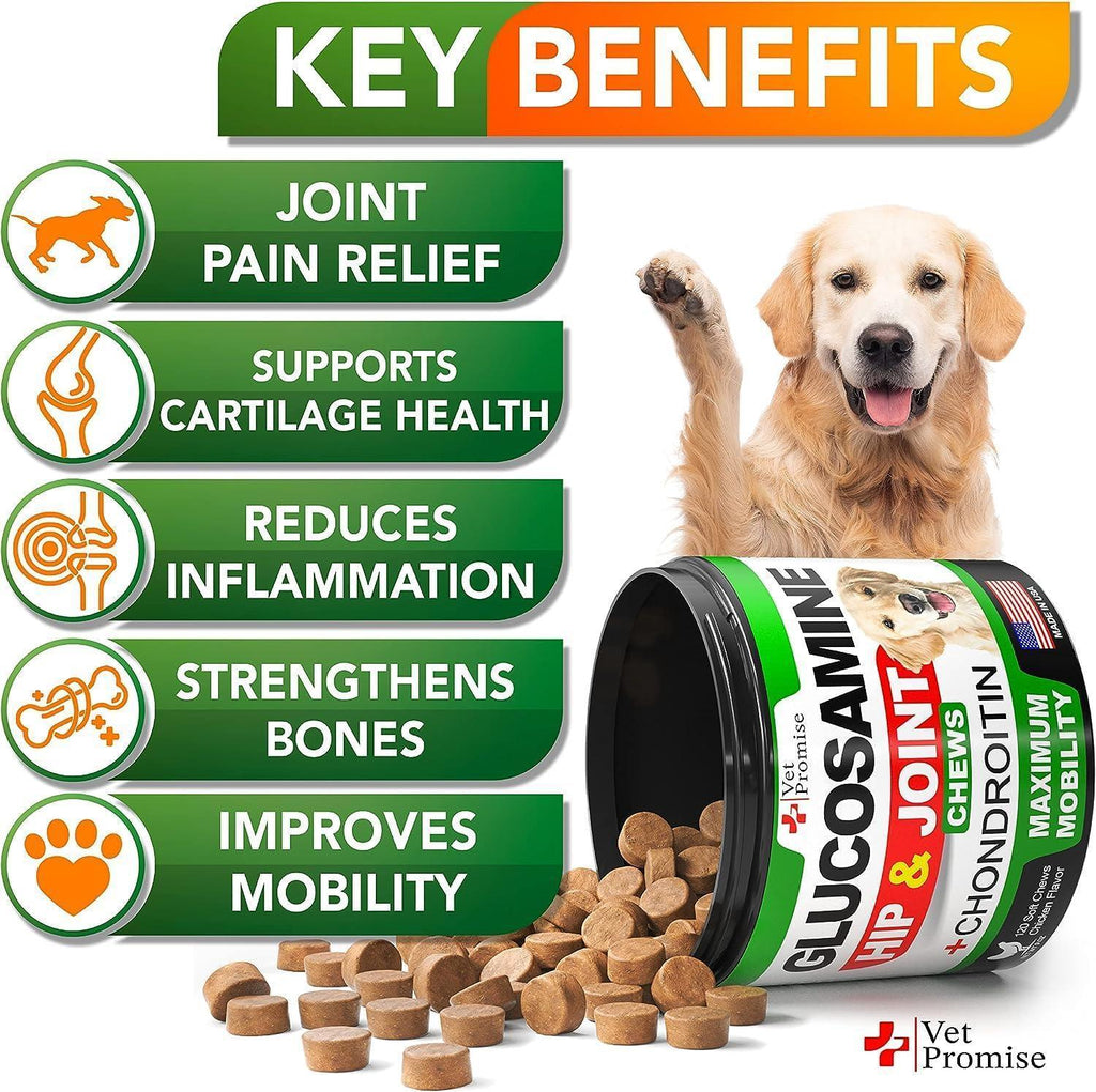 Glucosamine & Chondroitin Hip & Joint Support, 240 Chews