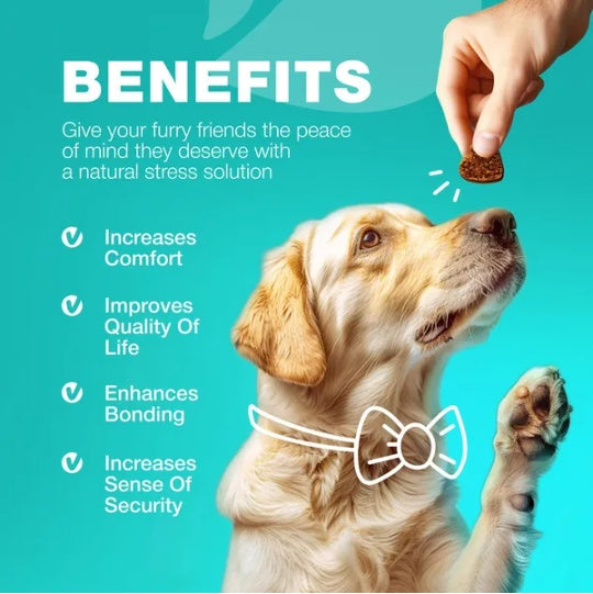 Stool Eating Deterrent Chews with Probiotics for Dogs