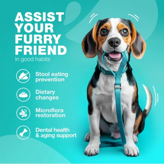 Stool Eating Deterrent Chews with Probiotics for Dogs