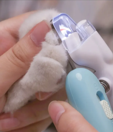 LED Illuminated Pet Nail Clippers