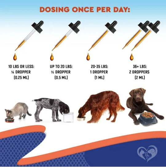 Digestive Support for Pets: Probiotics & Enzymes