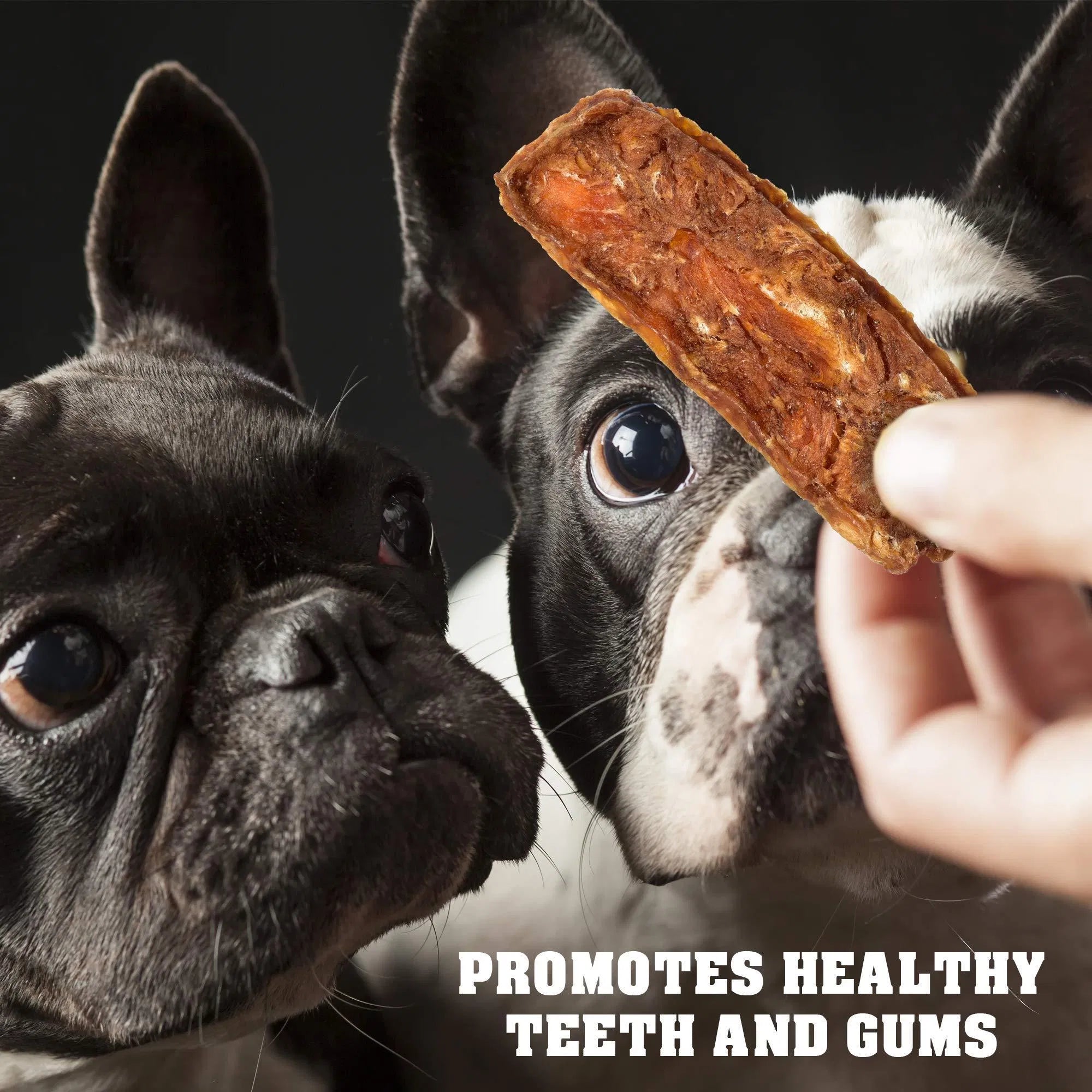 Gourmet Chicken Jerky Dog Treats, 1.5 Lb