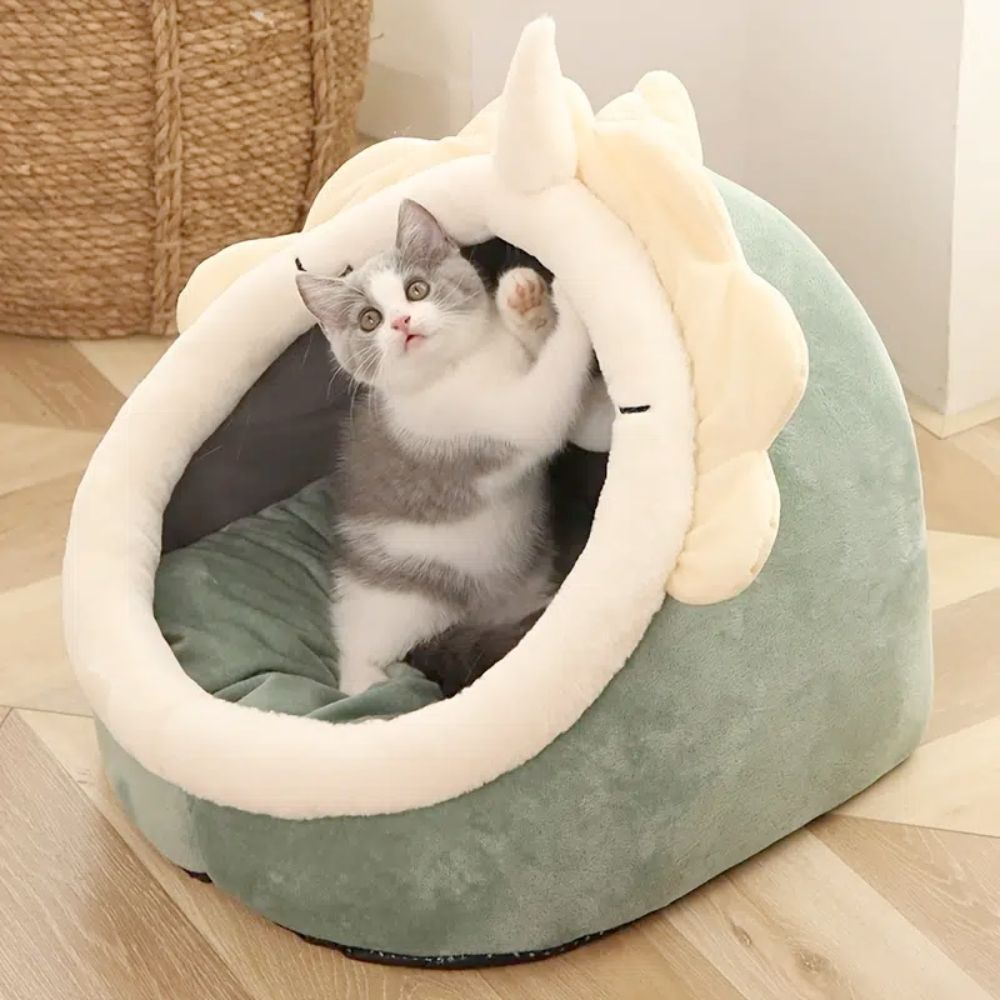 Dinosaur Pet Hideaway with Toy