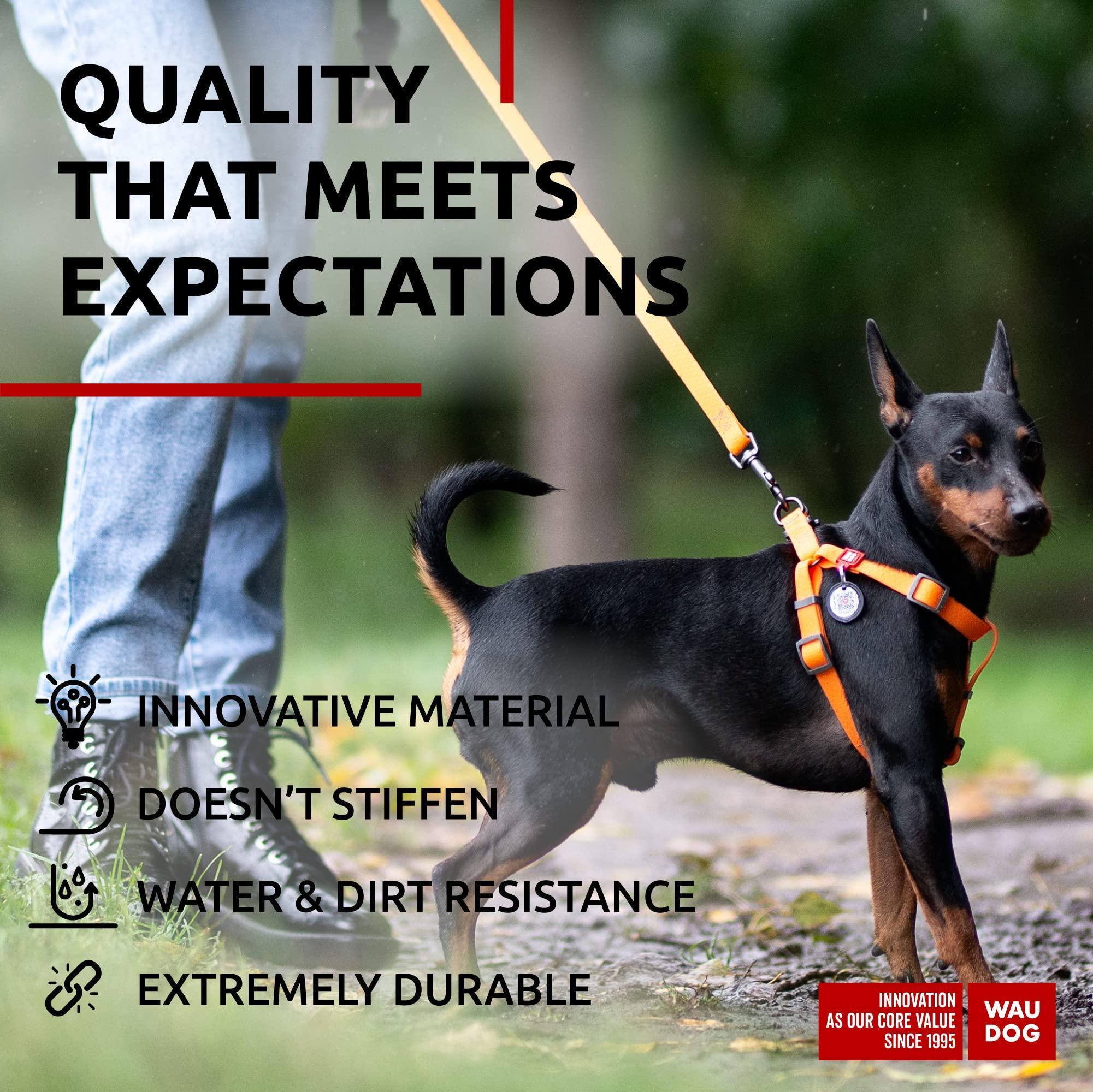 Orange 6 Ft. Waterproof Dog Leash, 3/5 in. Width