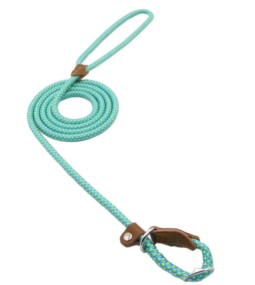 Nylon Duo Collar and Lead Set