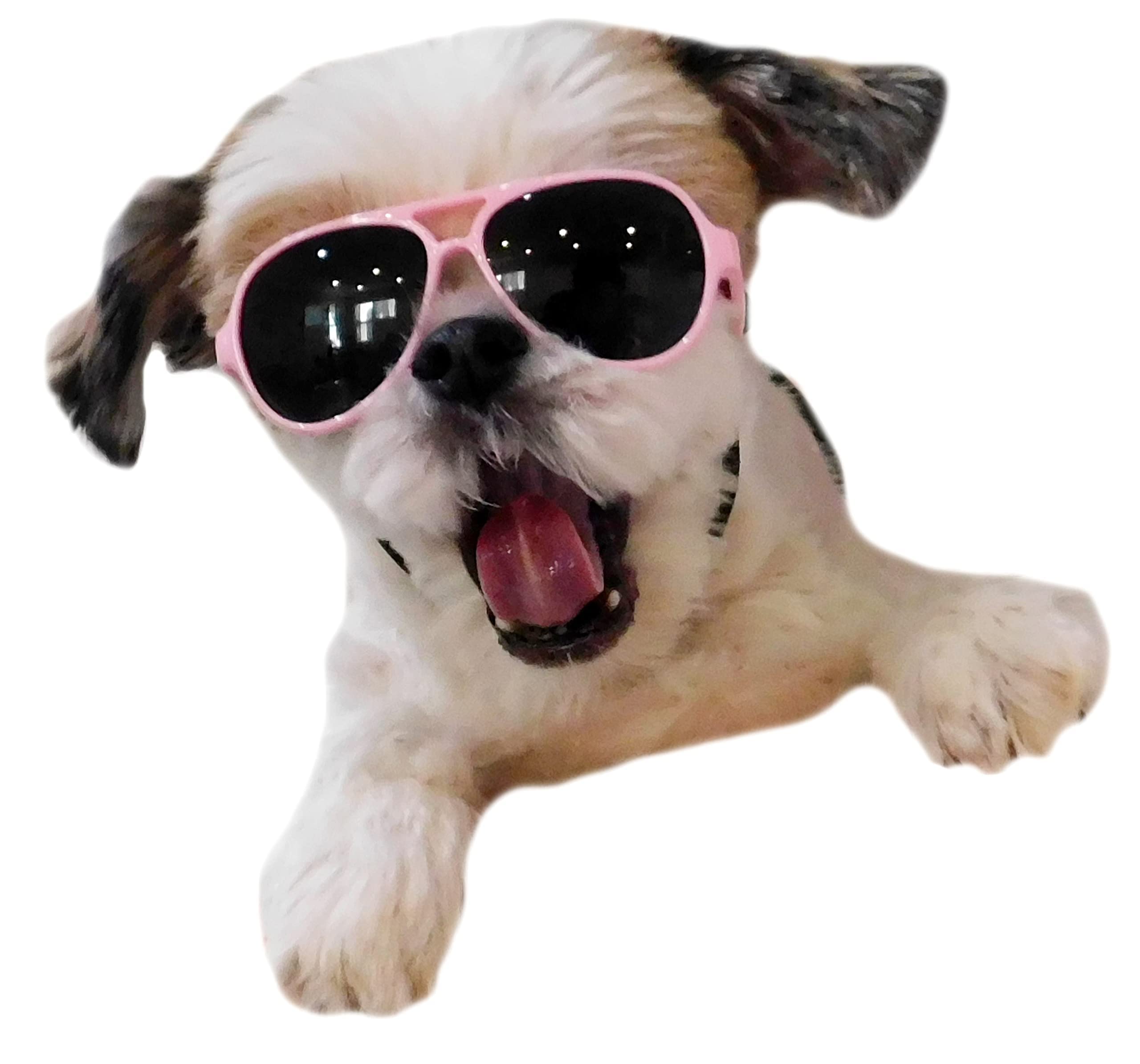 Aviator Sunglasses for Small Breeds (Pink)