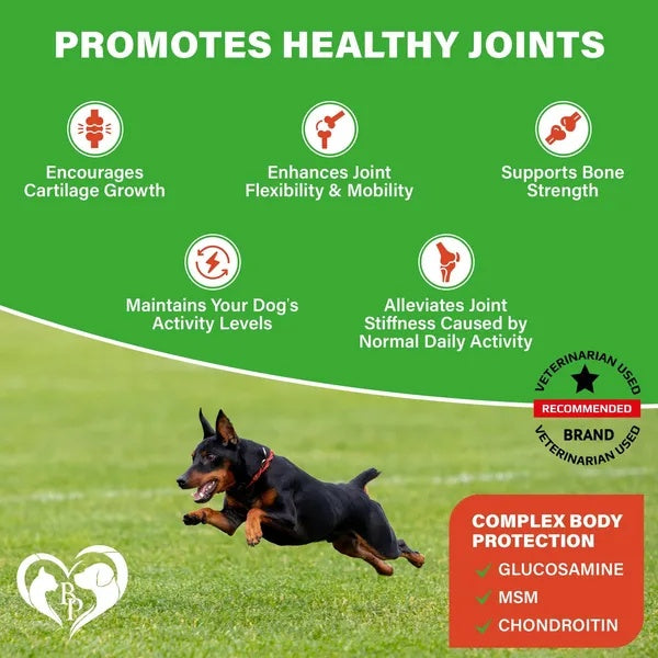 Canine Hip and Joint Support Soft Chews