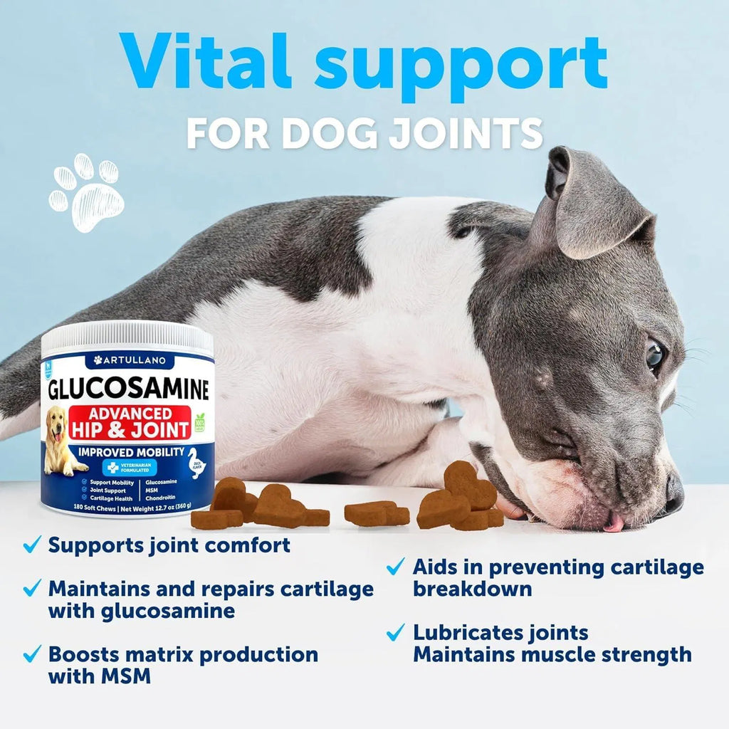 Canine Hip and Joint Support Chews, 120 Count