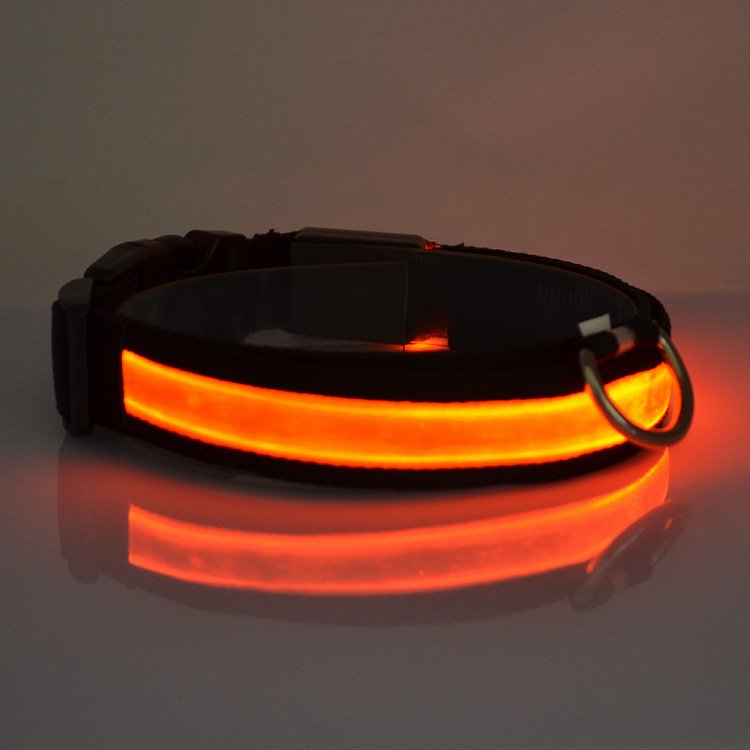 Illuminated Safety Collar